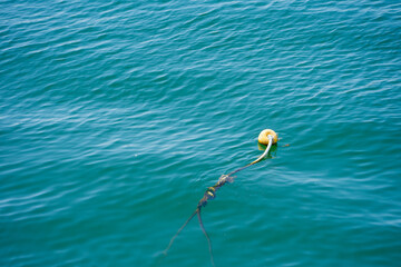 yellow buoy on the water