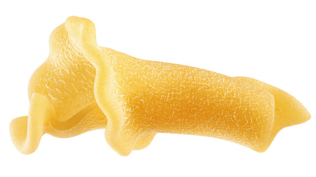 raw Campanelle, uncooked Italian Pasta, isolated on white background, full depth of field
