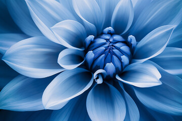 blue purple flower