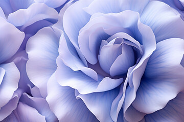 blue purple flower