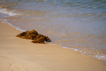 waves on the sand