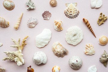 Fototapeta na wymiar Seashells and corals set. Marine pattern.
