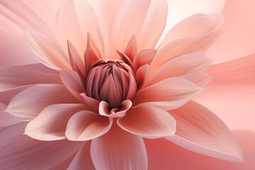 pink flower close-up, natural background