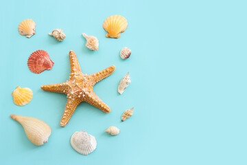 nautical concept with starfish and seashells over blue background - Powered by Adobe