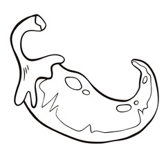 line drawing of pepper on white background is a vector image