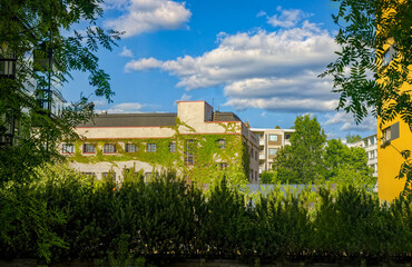Overgrown city. Photo of buildings from an angle that makes the city look very lush and green of vines and trees and bushes. 