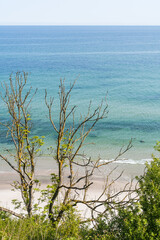 Ocean and beach view from above with turquoise water, white sand and tree in the foreground