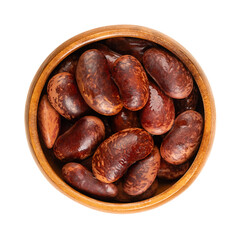 Scarlet Runner beans in a wooden bowl. Boiled and canned runner beans, seeds of Phaseolus coccineus, also known as multiflora or butter bean. In Austria they are called beetle-beans. Macro food photo.