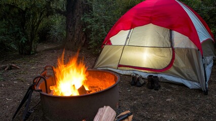 Cozy Camping: Roasting Marshmallows by the Campfire in a Serene Forest Setting. Campfire and camping tent in the forest at night
