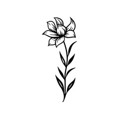 Flower black line vector illustration