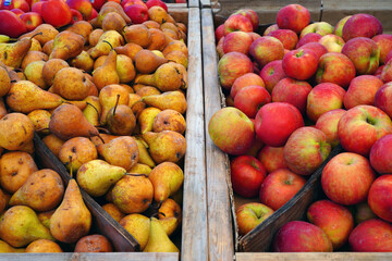 Apples and pears at a farmers market