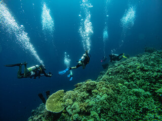 Underwater Sulawesi Togean