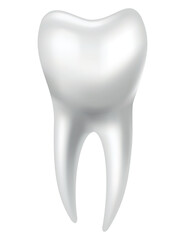 Tooth anatomy. Medical banner or poster illustration. Realistic white tooth mockup. Vector dental symbol. Healthy white tooth