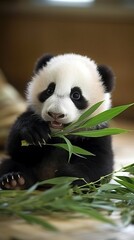 Panda eating bamboo, Adorable baby animal (Ai generated)