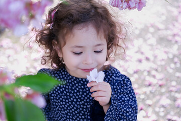 Little girl with curly hair is admiring sakura on sunny day. 