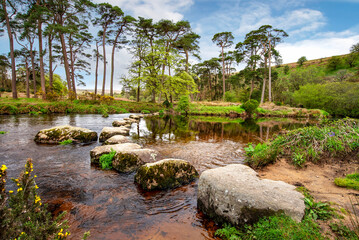 sherberton stones Dartmoor national park