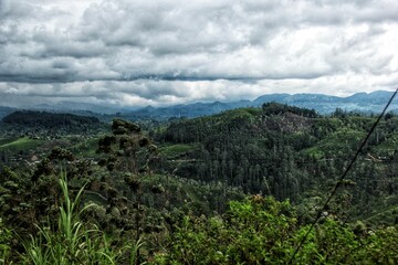 Obraz premium landscape with clouds
