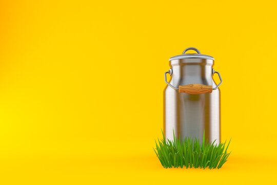 Milk can on grass