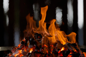 Burning wood briquettes