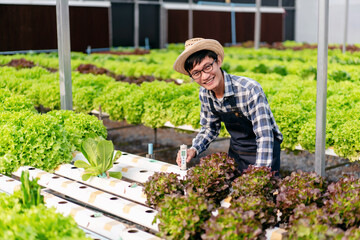 Agribusiness farmer and hydroponic farming concept, Man using pH meter to testing and control water...