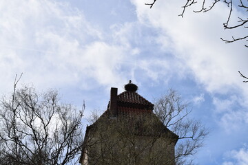 bird’s nest in a tall tower
