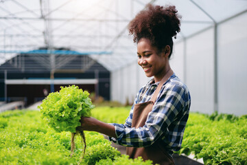 Agribusiness farmer and hydroponic farming concept, African woma