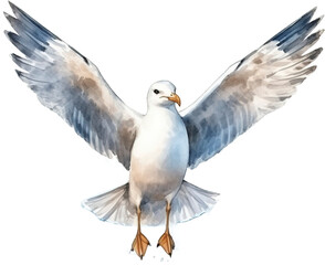 Obraz premium Gulls transparent background