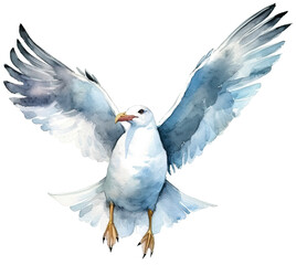 Fototapeta premium Gulls transparent background
