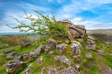 Sharp Tor Dartmoor