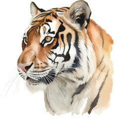 Tiger transparent background
