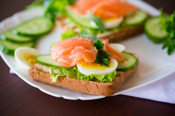 fried toast with lettuce, egg, cucumbers and red fish in a plate.