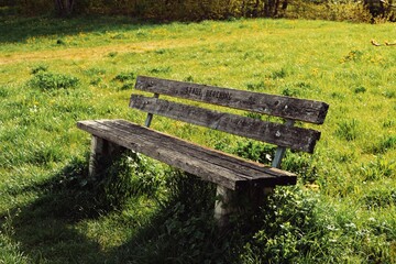 wooden bench in the park