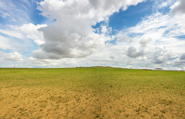 Fototapeta na wymiar panoramic view of green fields and meadows in summer. Mongolian landscape with sunny sky. Travel or travel concept. Mongolian meadows and clear skies