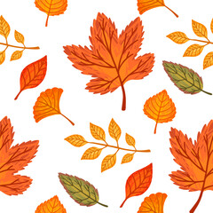 Obraz premium Seamless pattern of colorful autumn leaves vector illustration on white background