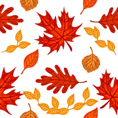 Obraz premium Seamless pattern of colorful autumn leaves vector illustration on white background