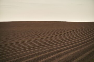 Naklejka premium Agricultural land under a beautiful sky at sunrise. Rural areas and countryside in the morning.