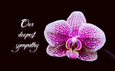 Phalaenopsis flower isolated on black background. Text 'Our deepest sympathy'. Condolence card.