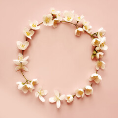 Frame of beautiful jasmine flowers on pink background, flat lay. Space for text