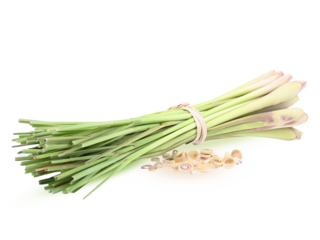 Fresh lemongrass  in cooking concept and herbal food. on  transparent..