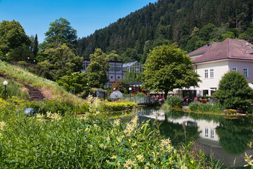 Ein Teil des Kurparks von Bad Teinach im Schwarzwald, mit einem Teich im Bildzentrum, B&auml;umen und einem Wald am Hang im Hintergrund bei strahlend blauem Himmel