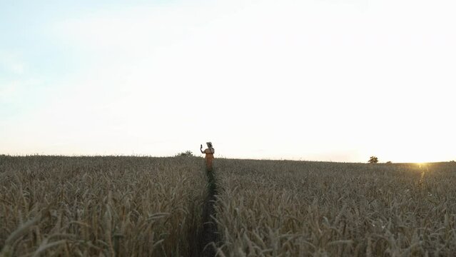 Lady in hat and dress takes selfie on smartphone among ripe grain field, wide shot. Cute farmer admires harvest at sunset. Gimbal shot, camera moving back between rows of cereal crops.