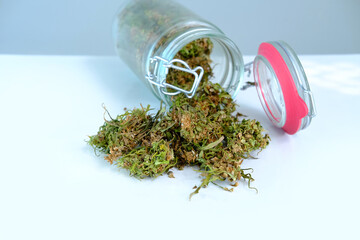 close-up green hemp buds in a glass jar for safekeeping on gray background, medical marijuana...