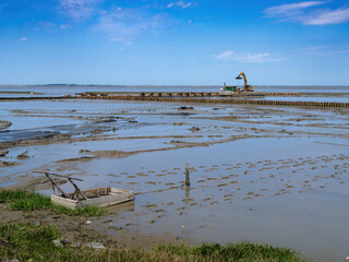 K&uuml;stenschutz im Wattenmeer in Ostfriesland