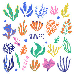 Set of seaweed and colored corals. Vector cartoon illustration of seaweed, aquarium plants, marine kelp and ocean corals. Plants of the aquarium isolated on white background.