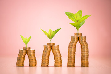 Fototapeta na wymiar Stack gold coin and plant growing with savings money is destinations the interest on the pink background in the office, Business investment and saving money concept.