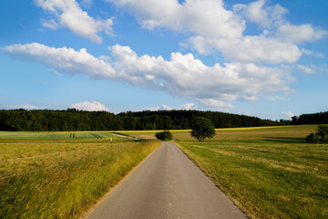 endless road leading through the green fields of the Bavarian countryside by the Birkach village on a sunny summer day with fluffy white clouds (Birkach, Bavaria, Germany)	