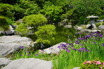 Traditional Japanese Garden and Pond at Senganen Garden Park in Kagoshima, Japan - 日本 鹿児島 仙巌園 日本庭園 瓢池