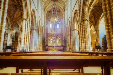 Fototapeta premium interior of the Catholic Catedral de Santa Maria la Real, Pamplona