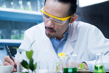 Researchers are developing medicines containing organic plant ingredients for take care of their...