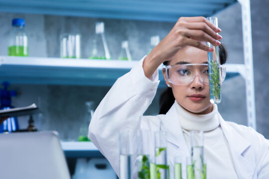 Researchers are developing alternative fuels for a more sustainable future, biofuels as an alternative to reduce pollution contributing to global warming, biotechnology and eco-energy concepts.